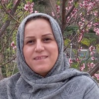 Maryam Mohammadi