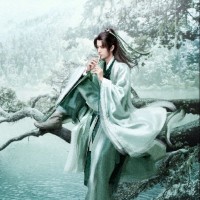 Elsa Zhao