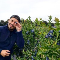 Felipe Juica Carvallo