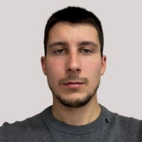 Vadim Sorin