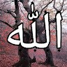 احمد حجازي