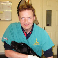 Noel Ahern
