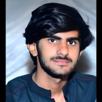Ali Hassan 🌟Flutter Developer 🌟