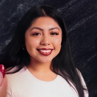 Evelyn Guzman, Lsw