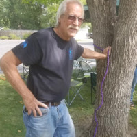 Robin Sterrett