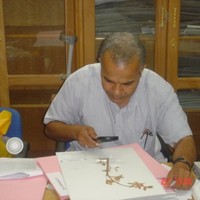 Selim Heneidy