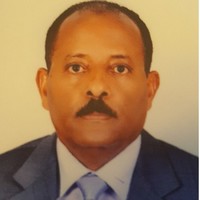 Mesfin Tessema Ashagrie