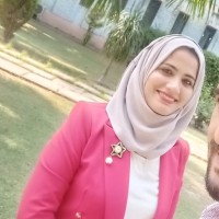 Dr. Hadee Mohammed Najm