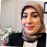 Yansoun Elmasry