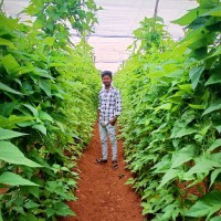 PAUNKUMAR S