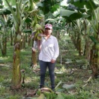 Elli Marcela Castillo Vargas