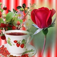 عبد الهادي ابراهيم