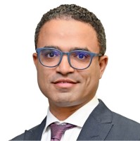Mahmoud Hassan Zayed