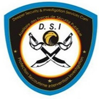 Dsi Security