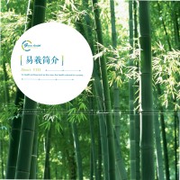 张丽红