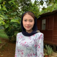 Damia Irdina H