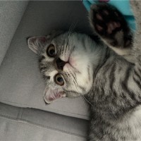 M S