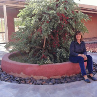 Susana Frenkel