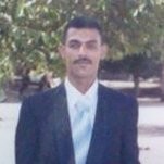 mahmoud abozed