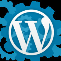 WordPress Expert