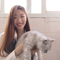 王胜男
