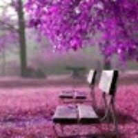 Sheetal Y.