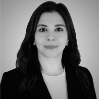 Shaymaa Ibraheem