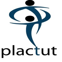 Plactut Consultants Inc