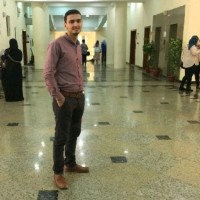 Hisham Abd El Ghany