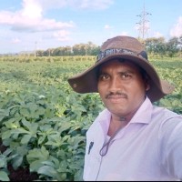 Bagari Prakash