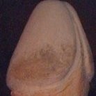 Rui Manuel Taveira