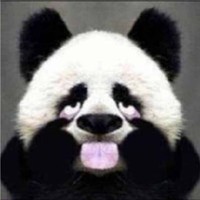Beibei Yang