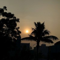 Sai Charitha