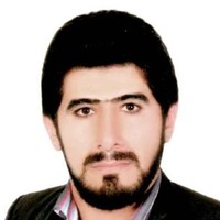mojtaba delavari