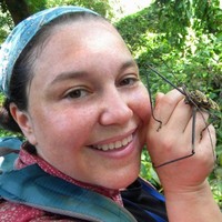 Kim Williams-Guillén