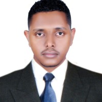 Alaaeldin Wais