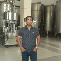Pravin Ghodnadikar