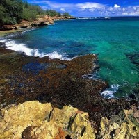 刘海涛