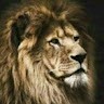 Rajput Deepak