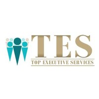 Top Executive Services