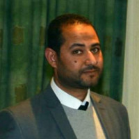 Ahmed Bashandy