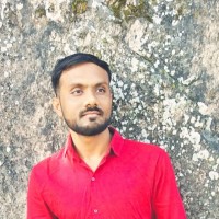 Raj Patel