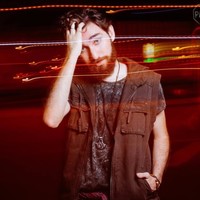 Henrique T. Dias. Perissinotto