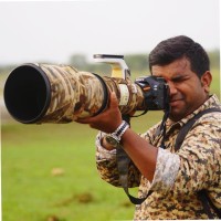 Anjinappa N