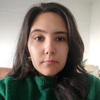 Anna Karoline Scharf dos Santos