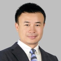 Viet P Nguyen