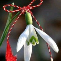 Niculae Cleopatra Mioara