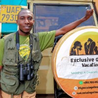 i-cent Safari Guide
