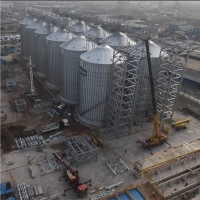 Hector Palacios Munoz