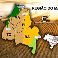 Max Bomfim